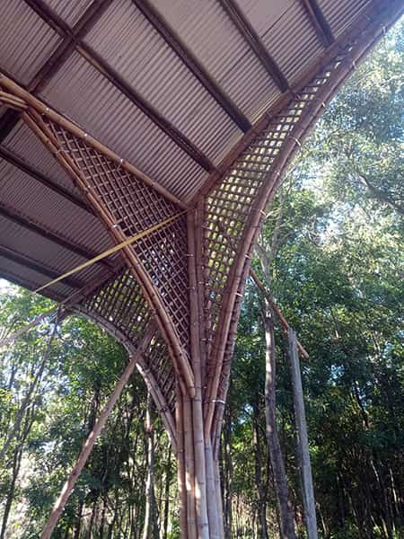 Construcción Sostenible con bambú