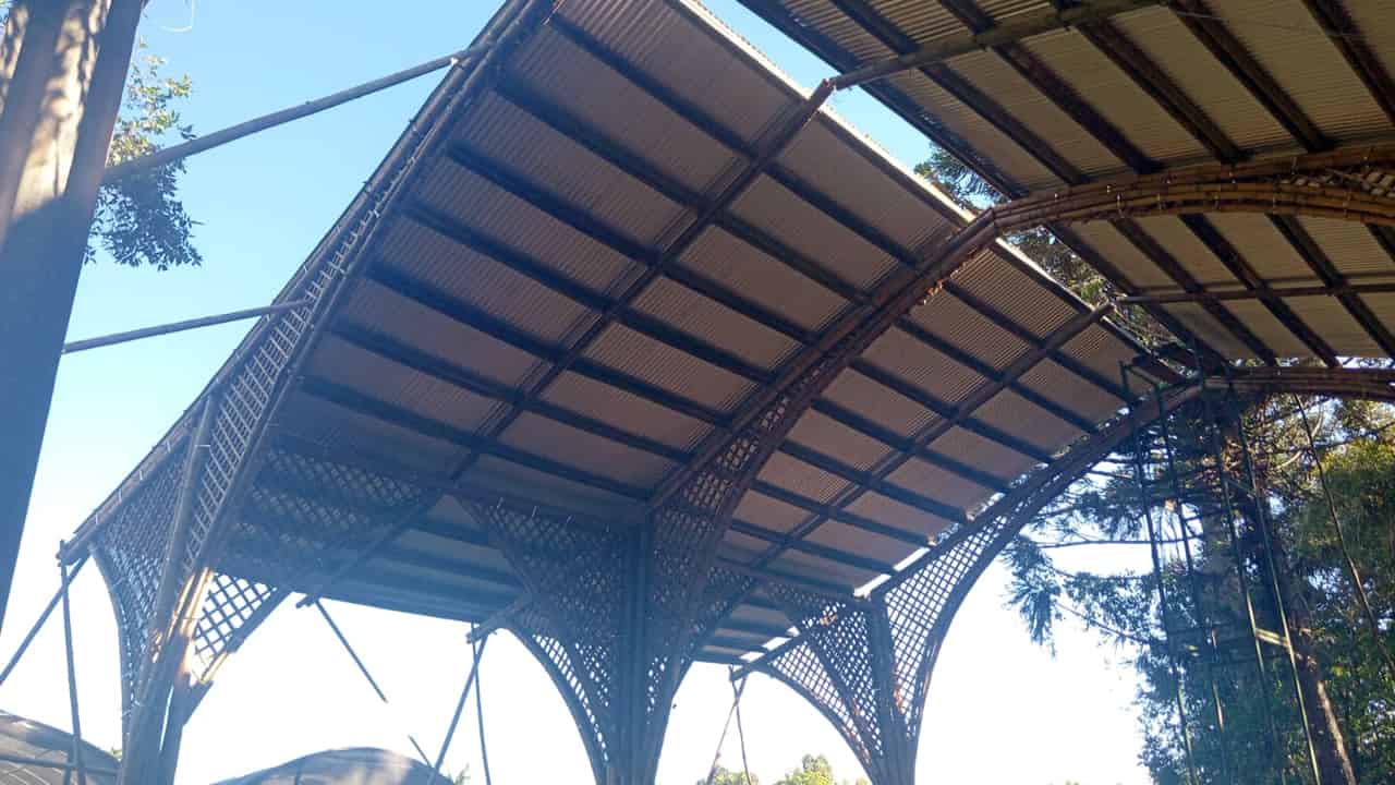 Construcción Sostenible con bambú